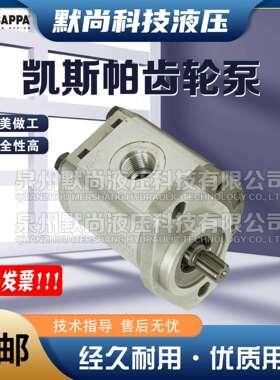 凯斯帕CASAPPA齿轮马达PLM30.22/27/34/38/43/51/61/73/82/90R