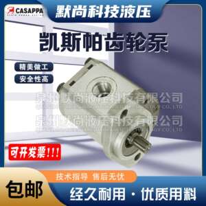 凯斯帕CASAPPA齿轮马达PLM30.22/27/34/38/43/51/61/73/82/90R
