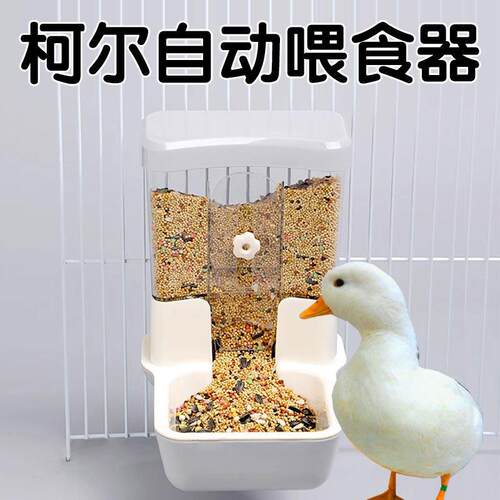 小鸭子喂食器自动漏食碗食盆挂式宠物柯尔鸭防踩翻养小鸡吃饭用品