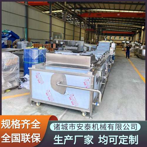 叶菜加工连续式杀青漂烫机水果玉米蒸煮漂烫机桑叶清洗杀青机