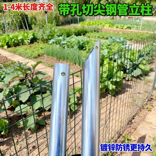 围栏立柱杆2*2镀锌钢管空心圆管25*25方管1寸支撑杆爬藤葡萄架6分