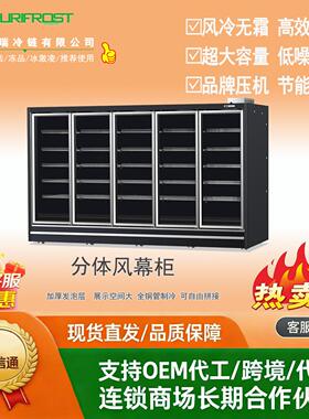 冷冻玻璃门展示柜冻鱼冻肉冰激凌保鲜柜多门展示立式冰柜商用