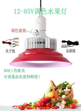 2025新款地摊夜市摆摊低压led可调色生鲜灯12v水果灯三轮车电瓶灯