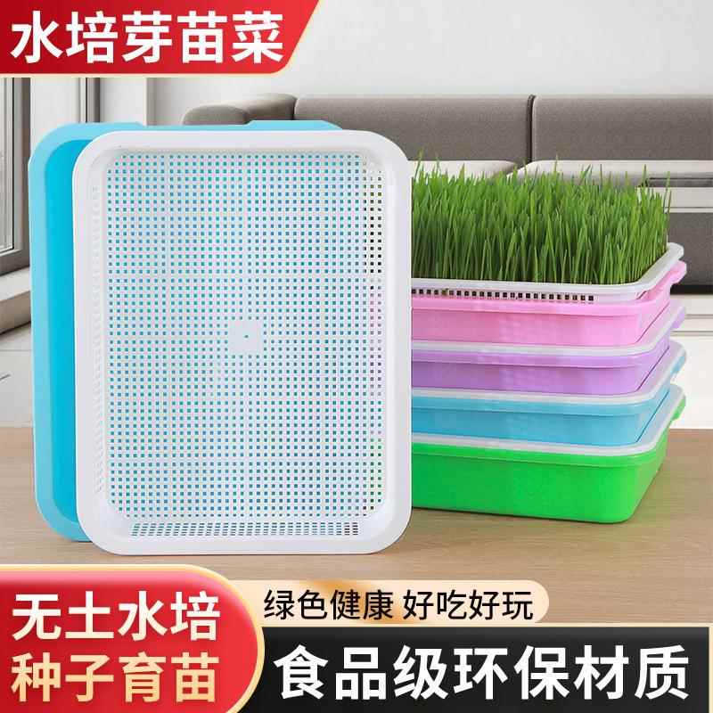 新款直销豆芽发芽盘家用无土栽培花盆