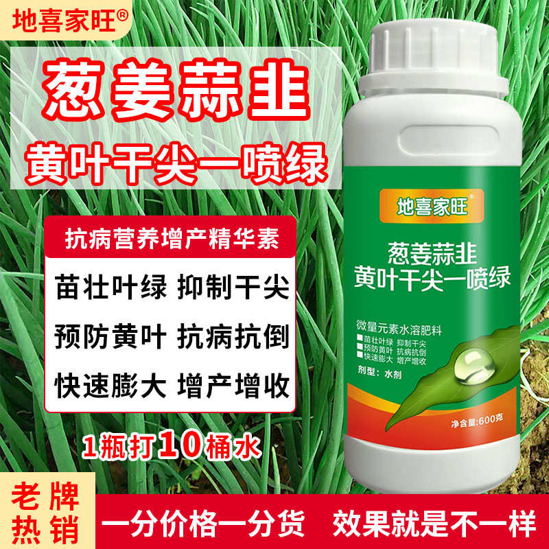 大葱香葱生姜韭菜大蒜洋葱叶面肥黄叶干尖一喷绿抗病膨大增产肥料
