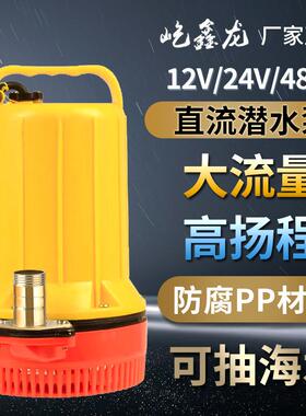 直流泵12v24v48v60v电瓶抽水泵增压泵浇地浇花浇菜耐腐蚀PP材质