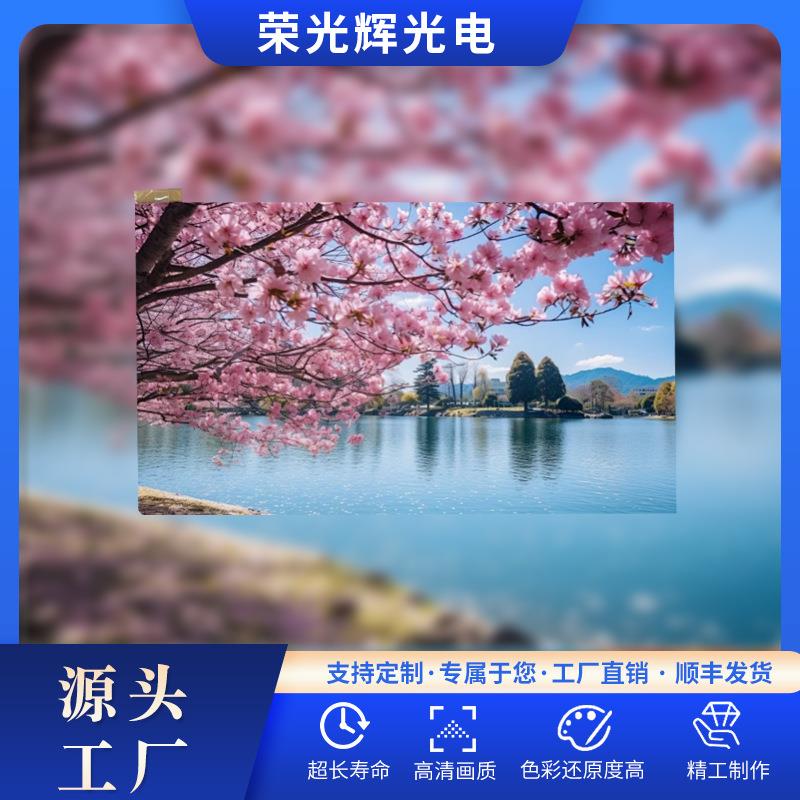 准7寸带触摸液晶显示屏600*1024电容触摸TFTMIPI接口6.95寸触摸屏