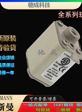 巴斯曼170M2762 170M2763 170M2764 经销直销价优 低压熔断器