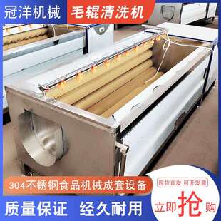 根茎蔬菜清洗设备 毛刷磨皮清洗机 海蛎子贝壳类毛辊清洗设备