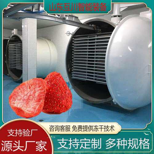 芒果干真空冻干机低温FD食品冻干机果蔬海鲜真空冷冻设备