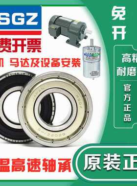 RSGZ高速轴承16001 16002 16003 16004 16005 16006ZZ 2RS P5
