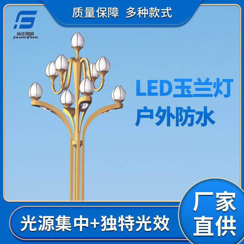LED中华灯玉兰灯户外广场9火大型组合灯8米12米景观灯市政道路灯