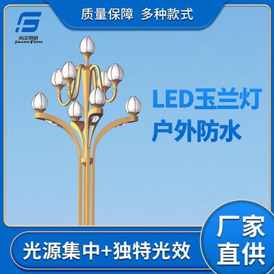 LED中华灯玉兰灯户外广场9火大型组合灯8米12米景观灯市政道路灯