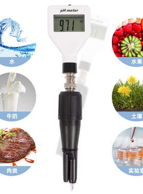 PH-98211pH计数字式酸度测试仪pH计土壤计白光背光测定奶酪肉土壤