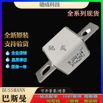 巴斯曼170M5665 170M5666 170M5667 厂价供应优价供应 伊顿熔断器