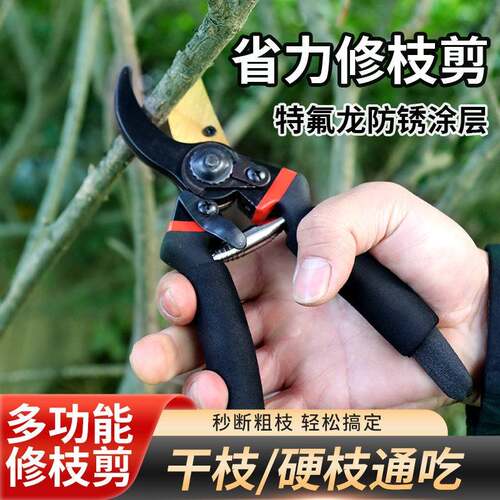 修枝剪园林工具剪刀果树枝剪刀花园绿化修剪园艺植物粗枝剪子