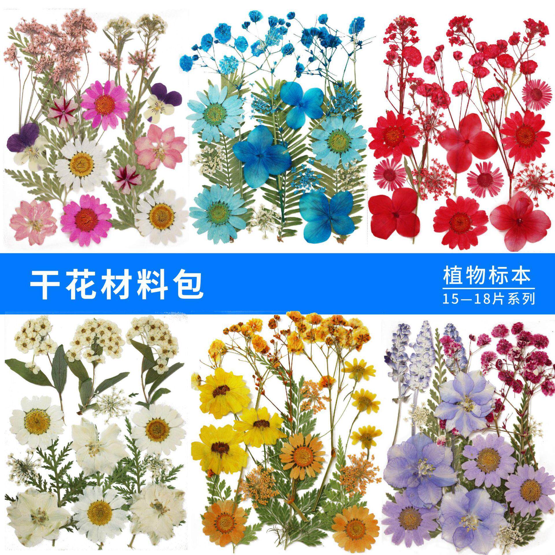干花压花组合装材料包手工押花相框书签滴胶手机壳美甲跨境货