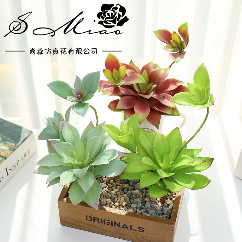 带芽龙蛇兰多肉植物创意用品植物墙配件花厂家直供人造花绿植