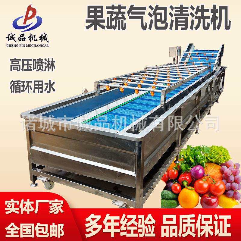 多功能海鲜产品气泡清洗机商用果蔬洗菜机圣女果蓝莓清洗流水线