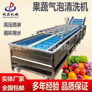 多功能海鲜产品气泡清洗机商用果蔬洗菜机圣女果蓝莓清洗流水线