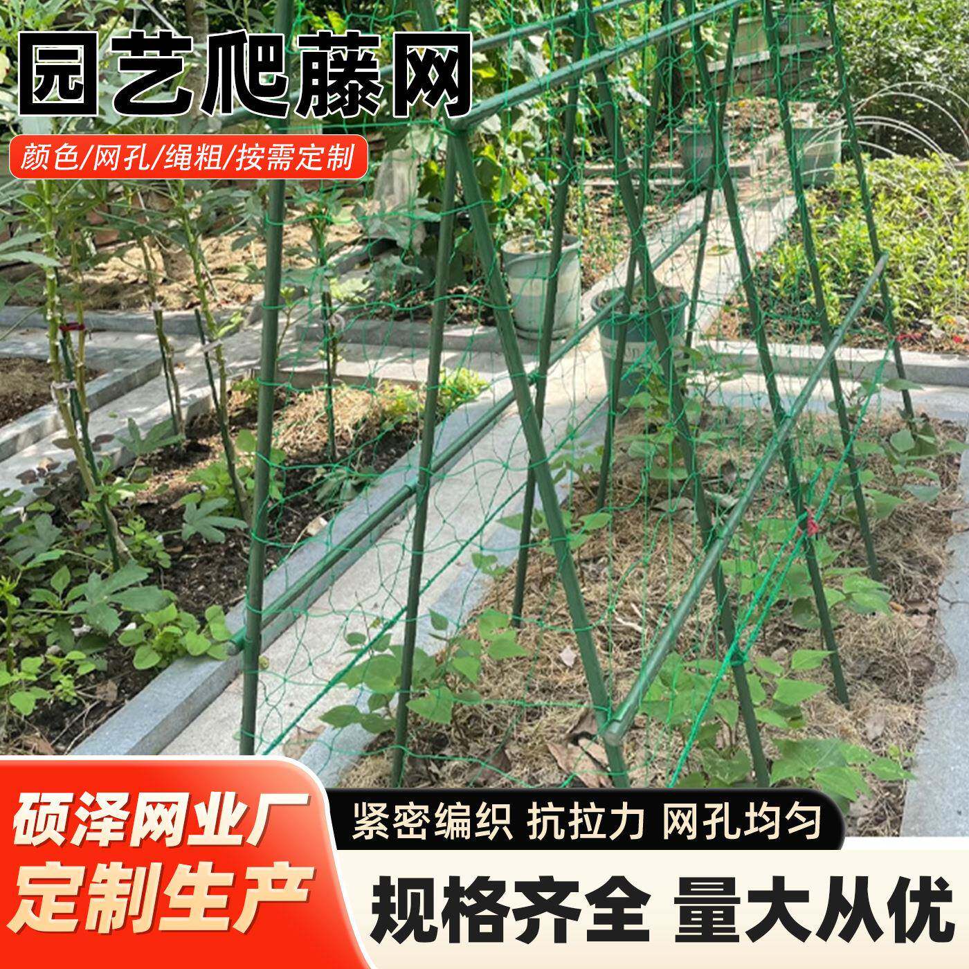 园艺爬藤网支架网家用花架子网室外蔬菜户外庭院黄瓜简易葡萄架网
