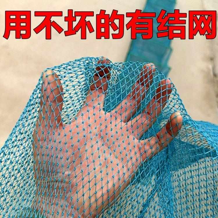 虾笼有结网渔网鱼笼有结鱼网捕虾网加厚捕鱼笼逮螃蟹笼龙虾养殖笼