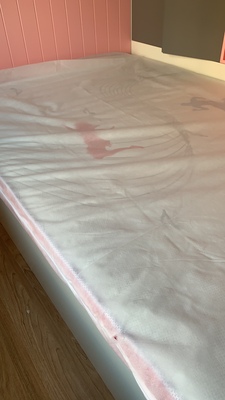 大自然床垫怎么样讲一讲体验真相值得入手吗?