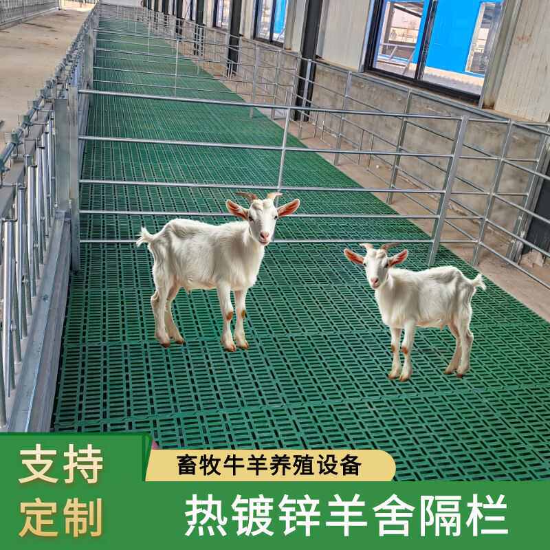 苏牧重工羊场隔栏 羊场养殖围栏 热镀锌材质羊舍分群栅栏按需生产
