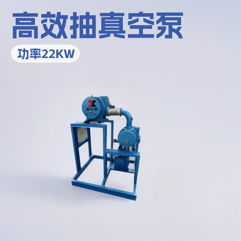 真空机组冷凝器抽真空循环水真空负压泵站水环泵+罗茨真空机组泵