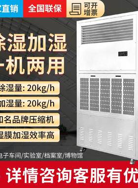 BLZ20HS恒湿机除湿机加湿一体机高低温试验箱试验机恒湿空调