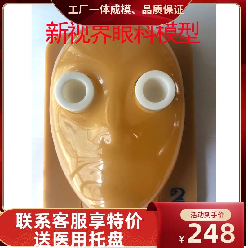 眼科手术模型撕囊模型 眼球模拟支架眼科猪眼练习模型眼球固定