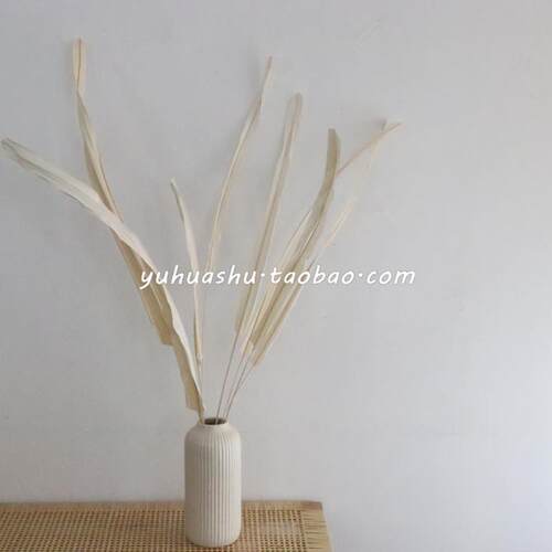 正品韩式风干花芦苇瓶白花束色陶瓷花装饰饰品民宿店厅客陈设