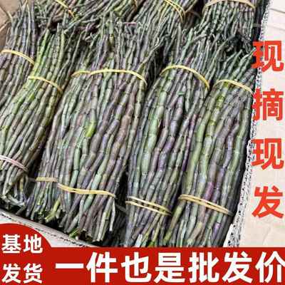 云南 霍山五年生铁皮石斛四年生鲜条500克现采现发铁皮新鲜石斛
