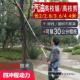 794高枝汽油绿篱剪高空锯园林绿化街道果树锯加长多功机能锯树修