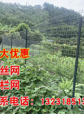 热镀锌筛网钢网丝加网轧花编织网漏热镀锌钢粪网羊养殖网围栏床网