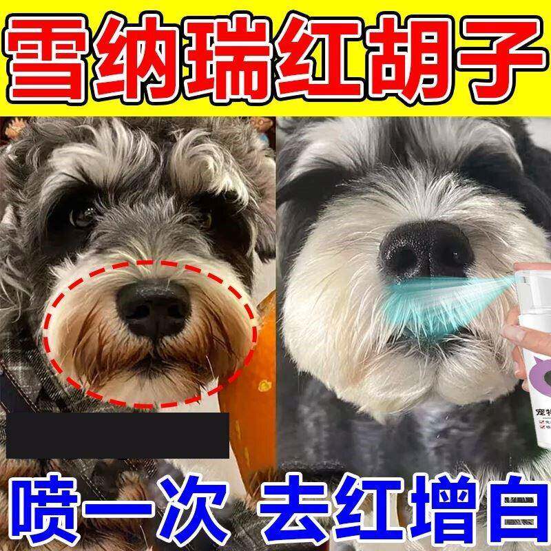 雪纳瑞去红胡子雪瑞纳嘴毛去黄去红去泪痕清洁品狗狗干 干洗泡沫