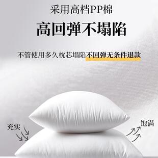 抱枕欧奢华沙发式靠垫厅靠包腰枕床头美式客靠套含芯大靠垫枕