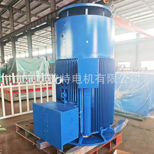 出口，立式电机YE3-450-6/560kw, 690v 50Hz, V1 IE3能效