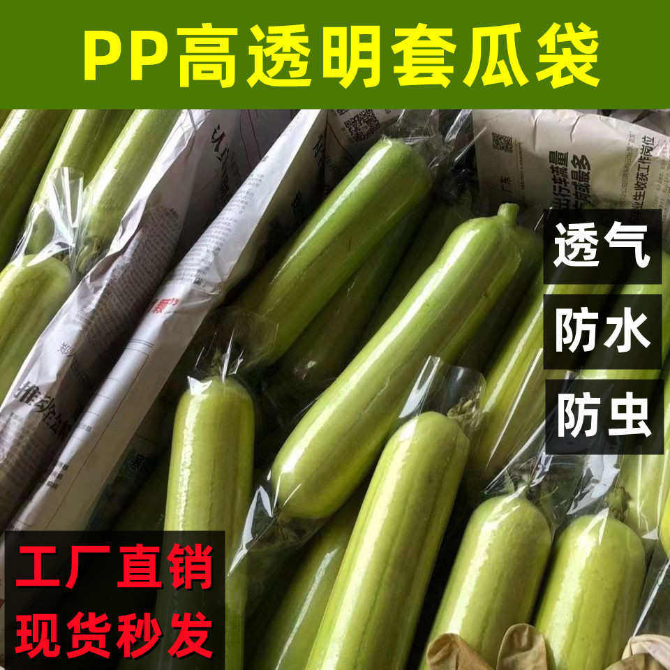 水瓜套袋瓜果两头通直筒保护薄膜透明农用防果蝇装丝瓜防虫袋