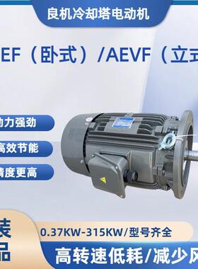 原厂供应良机冷却塔电机三相异步电机AEEP160L-15HP-11KW*6P现货