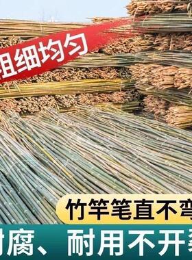 竹杆菜园搭架杆豆角黄瓜西红柿支架杆辣椒架子超硬植物爬藤旗杆