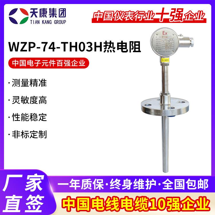 WZP-74-TH03H热电阻隔爆型热电偶温度变送器K型电热偶温度传感器