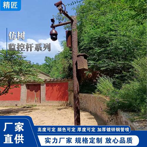 3米3.5米4米道路小区摄像机支架枪机立柱仿古杆旋转摄像头可旋转