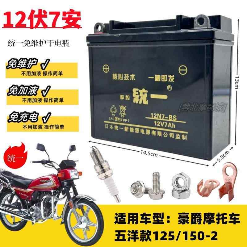 适用豪爵老五洋款HJ125/150-2摩托车免维护蓄电池12V7A统一干电瓶