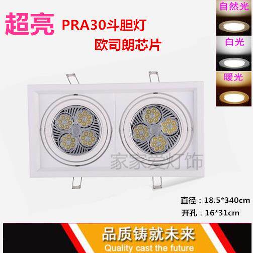 LED格栅灯PAR30斗胆灯嵌入式双头方形帕灯35W40W服装店窗帘店专用