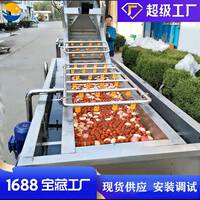 水果草莓气泡清洗机车厘子樱桃蓝莓清洗设备枇杷果洗果机