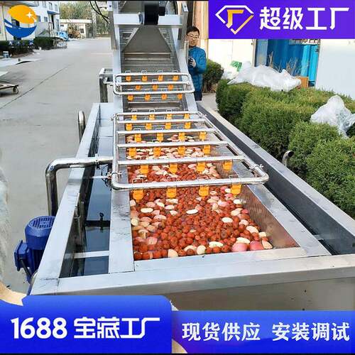 水果草莓气泡清洗机车厘子樱桃蓝莓清洗设备枇杷果洗果机