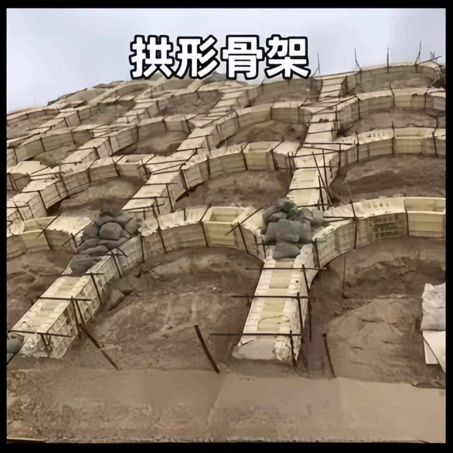 拱形骨架护坡磨具边坡框架梁模具水沟定型混凝土现浇模版塑钢模板
