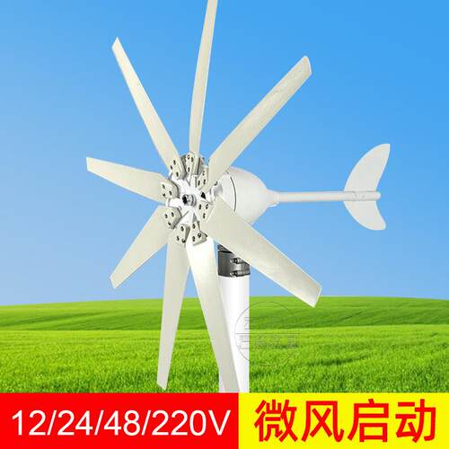 1000W风力涡轮机带8叶片MPPT控制器12/24/48/220V家用小型风力涡