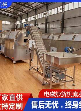 凹凸球烘干设备生产线  材炒制加工流水线 葵花籽南瓜子炒锅
